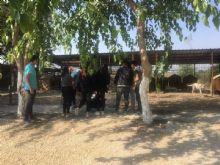Ceyhan Final Akademi Anadolu Lisesi Etkinlikleri