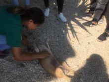 Ceyhan Final Akademi Anadolu Lisesi Etkinlikleri